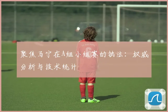 聚焦马宁在A组小组赛的执法：权威分析与技术统计