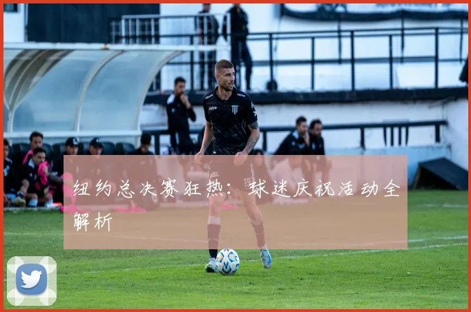 纽约总决赛狂热：球迷庆祝活动全解析