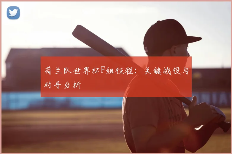 荷兰队世界杯F组征程:关键战役与对手分析